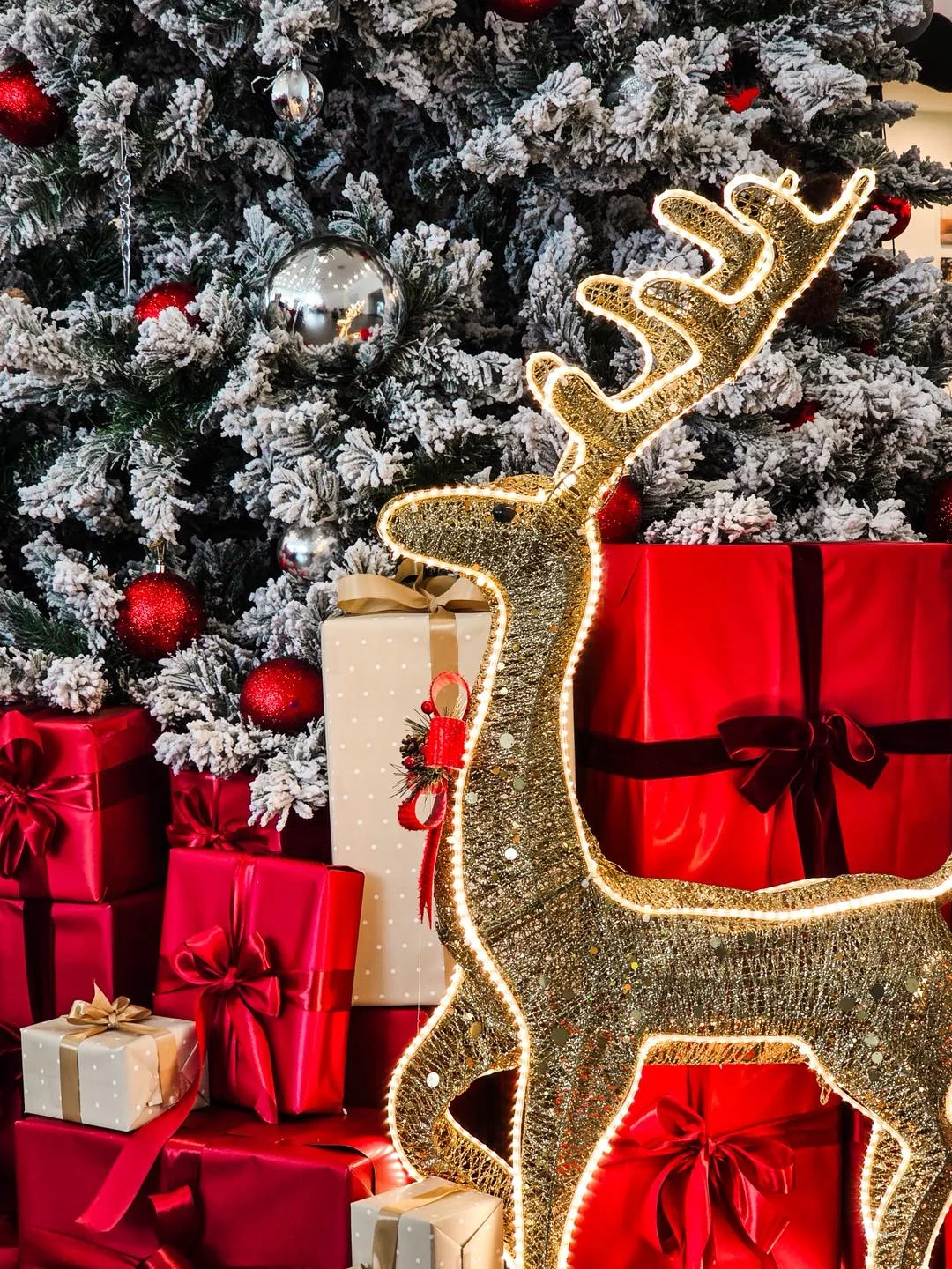 Thaco Auto giang sinh 06.webp