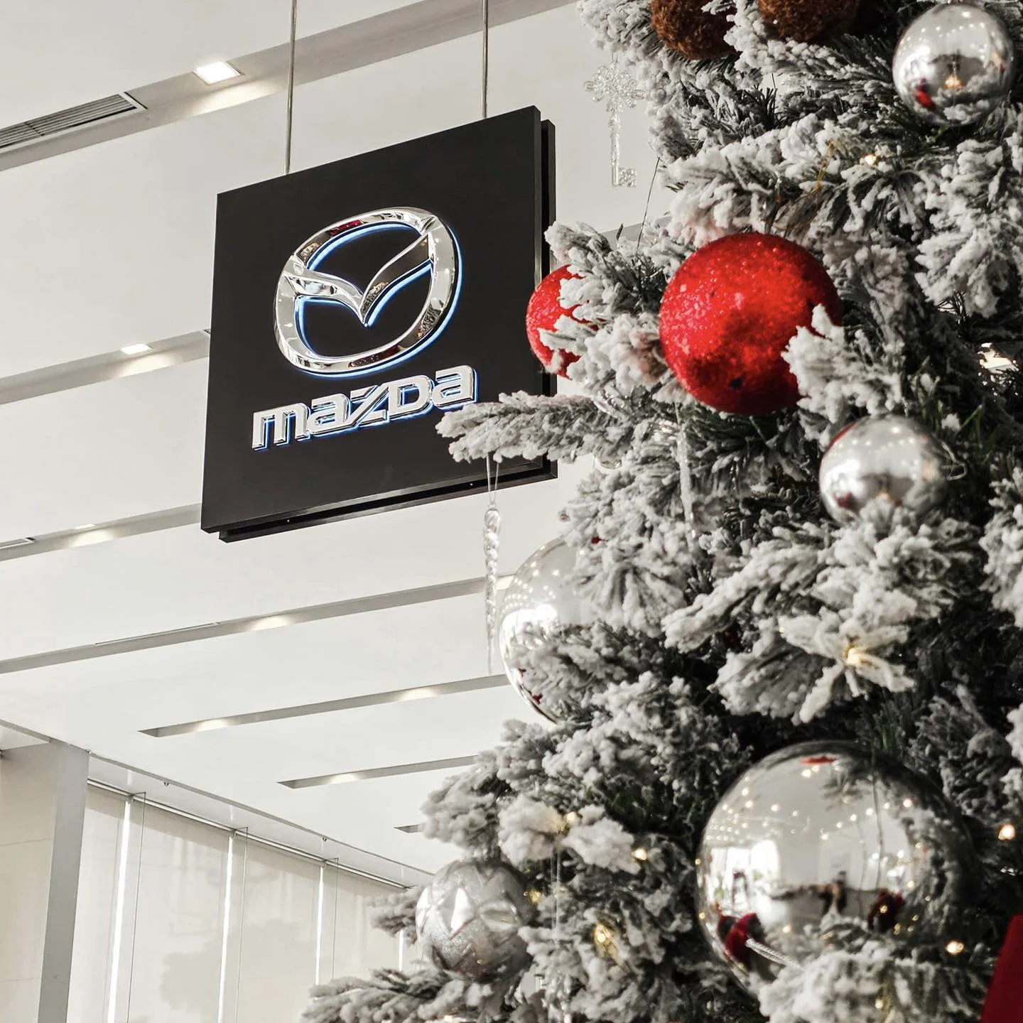 Thaco Auto giang sinh 08.webp